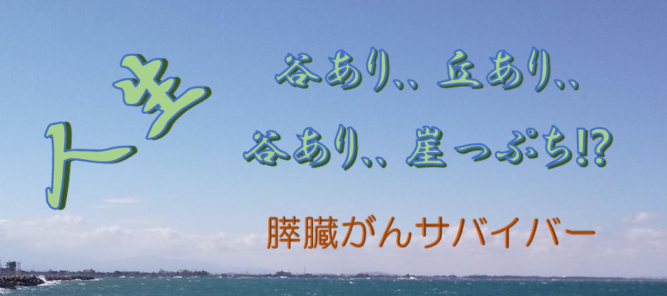 人生 谷あり.. 丘あり.. 谷あり.. 崖っぷち!?（膵臓がんサバイバー）