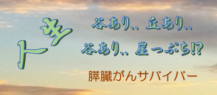 人生 谷あり.. 丘あり.. 谷あり.. 崖っぷち!?（膵臓がんサバイバー）